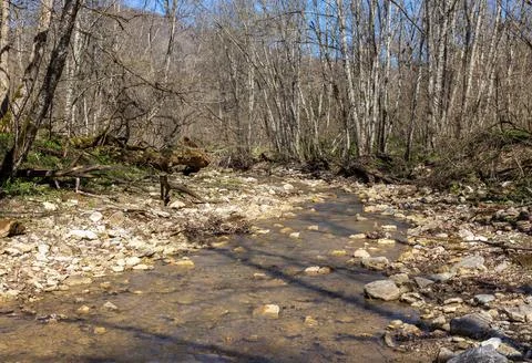 Spring walks in the highlands, riverbed, forest, and panorama of the area Stock Photos