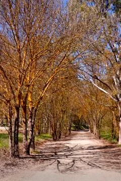 Spring Walkway Stock Photos