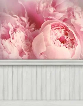 Spring wall background/backdrop 库存照片