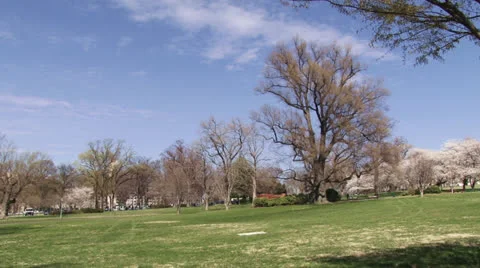Spring in Washington DC Video stock 24615349
