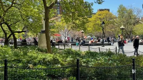 Spring at Washington Square Stock-Fotos
