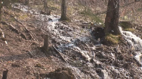 Spring water 1 Stock Footage 3809995