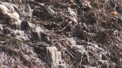 Spring water 3 Stock Footage 3816696