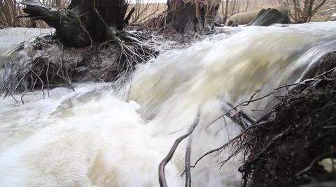 Spring water and foam flows through the branches Stock Footage 47324418
