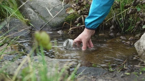 Spring water, bottled, in the forest, in nature. A man's hand lowers a container Stock Footage 217395553