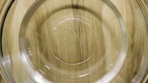 Spring water bubble bursting with caustics and ripples 4k 10bit 60fps Stock Footage 333077647
