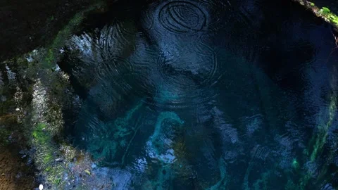 Spring water bubbling up in crystal-clear water Stock Footage 329106240