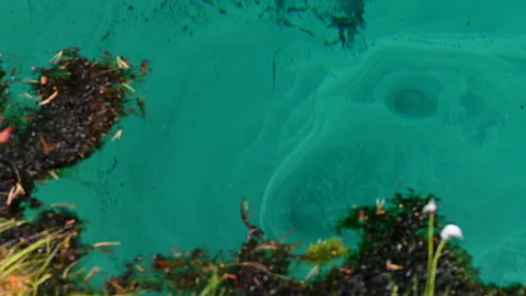 Spring water bubbling up from sandy bottom Stock Footage 245820365