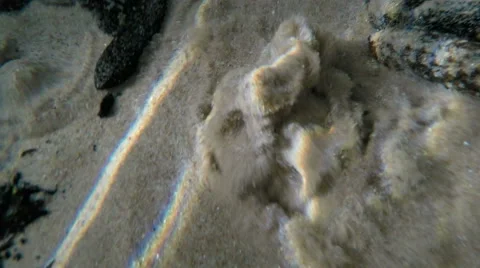 Spring Water bubbling up through sand in Slow Motion Stock Footage 55842442