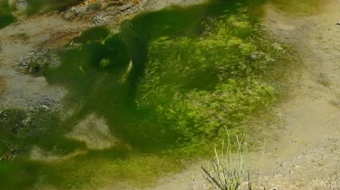 Spring water drying from heatwave Stock Footage 11730988