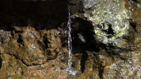 The spring water falls from the cliff Stock Footage 287295908