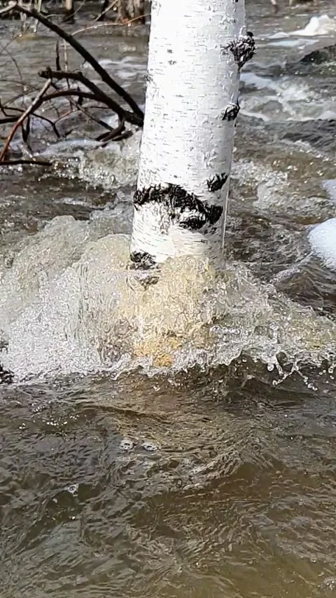 Spring water flood in slow motion Stock Footage 158906011