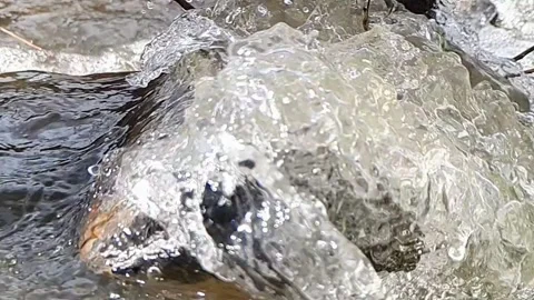 Spring water flood in slow motion Stock Footage 158906630