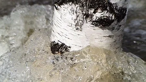 Spring water flood in slow motion Stock Footage 158906638