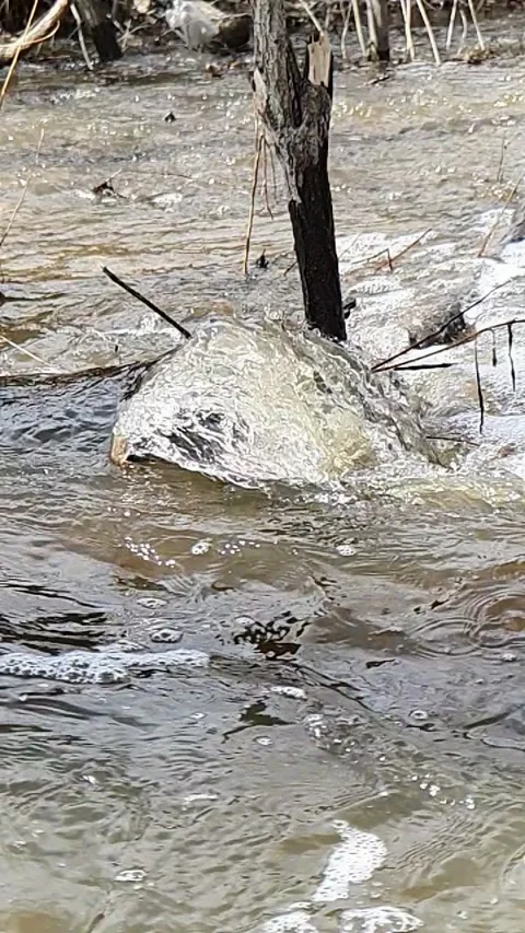 Spring water flood in slow motion Video stock 158906646