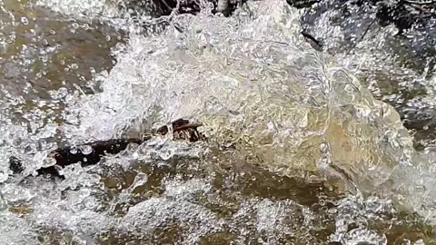 Spring water flood in slow motion Video stock 158906706