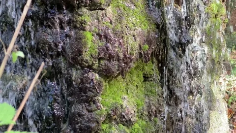 Spring water flowing from big rock. Stock Footage 142734420