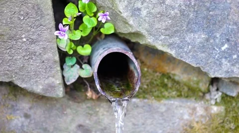 Spring water flowing Stock Footage 51315511