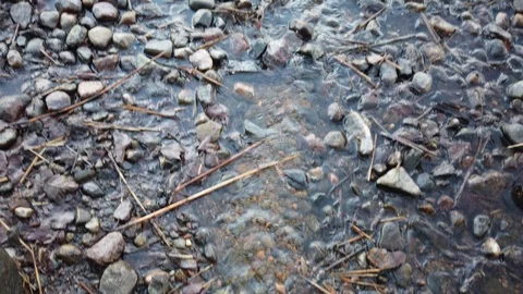 Spring water flowing on the ground Stock Footage 122809570