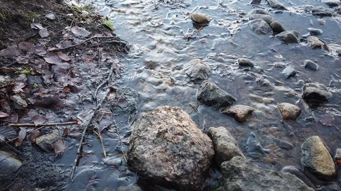 Spring water flowing on the ground Stock Footage 122810258