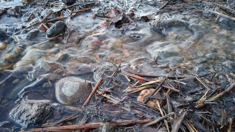 Spring water flowing on the ground Stock-Footage 122810466
