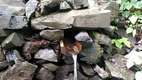 Spring water flowing from the mountain along a wooden gutter Fresh liquid source Stock Footage 116720290