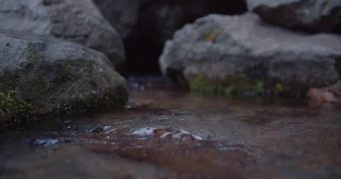 Spring water flowing out of Mount Shasta Stock Footage 220926569