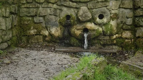 Spring Water → Flowing from Rock Wall → Nature → Slow Motion Stock Footage 319334914