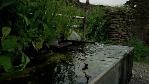 Spring water flowing into stone trough, lush vegetation. Mountain spring water Stock Footage 265505484