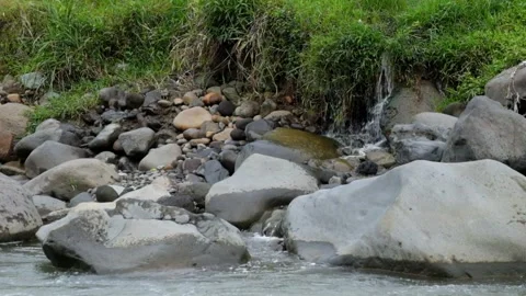 Spring water flows clear from the river bank Stock Footage 297653943