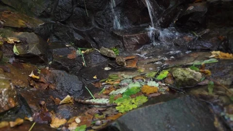 Spring water flows in a fast stream, beats against stones, splashes Stock Footage 163424829