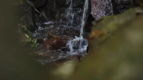Spring water flows in a fast stream, beats against stones, splashes Stock Footage 163424910