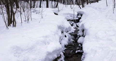 A spring water flows through a snowy park Video stock 264355821
