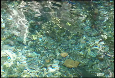 Spring Water 库存影片 961063