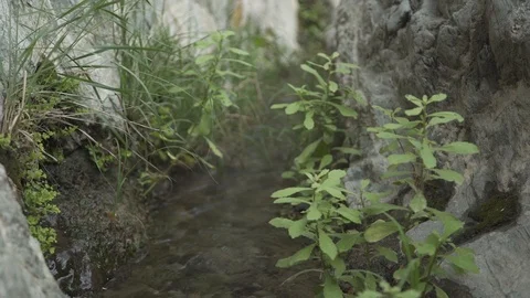 Spring of water Stock Footage 112783366