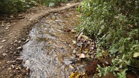Spring water Stock Footage 112783638