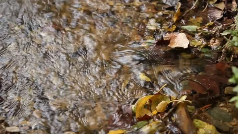 Spring of water Stock-Footage 112783697