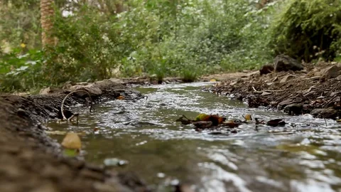 Spring of water Stock Footage 112783753