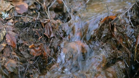 Spring Water Vídeo Stock 125995144