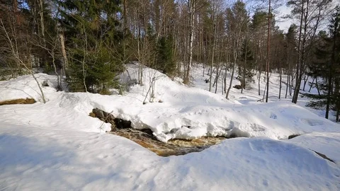 Spring Water Vídeos de archivo 125995409