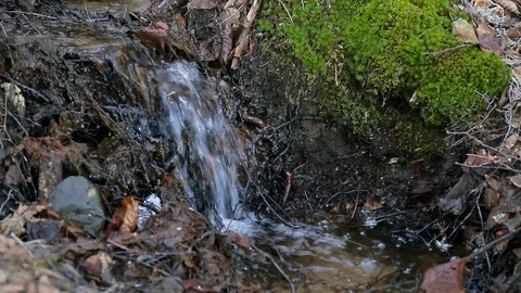 Spring Water Vídeos de archivo 125995461