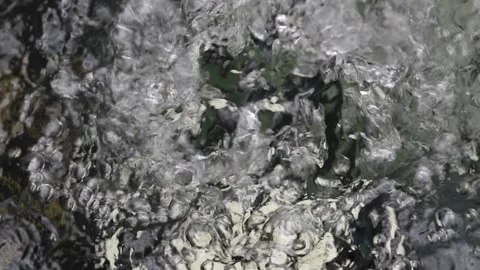 Spring Water Stock Footage 196852777