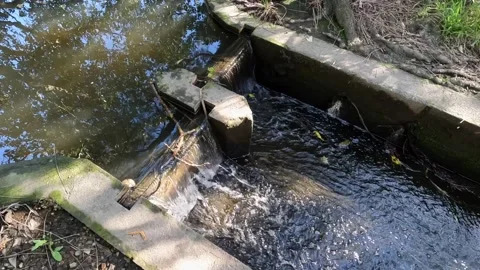 Spring Water Stock Footage 203603232