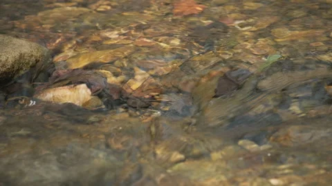 Spring water Stock Footage 244406070