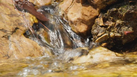 Spring water Stock Footage 244406212