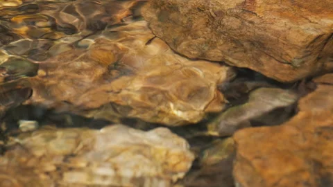 Spring water Stock Footage 244406338