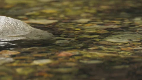 Spring water Stock Footage 244406449