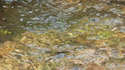 Spring water Stock Footage 244406673
