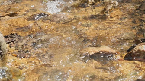 Spring water Stock Footage 244406720