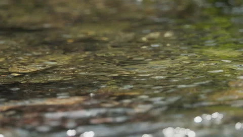 Spring water Stock Footage 244406771